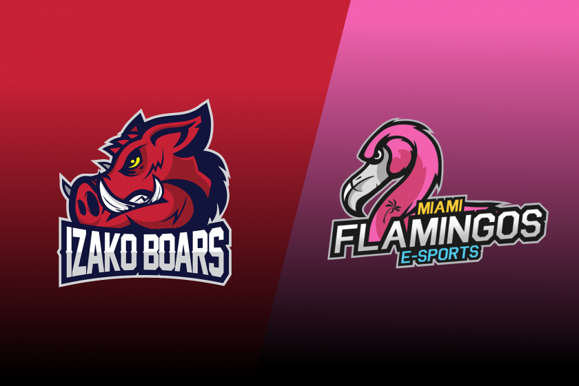 izako boars maiami flamingos