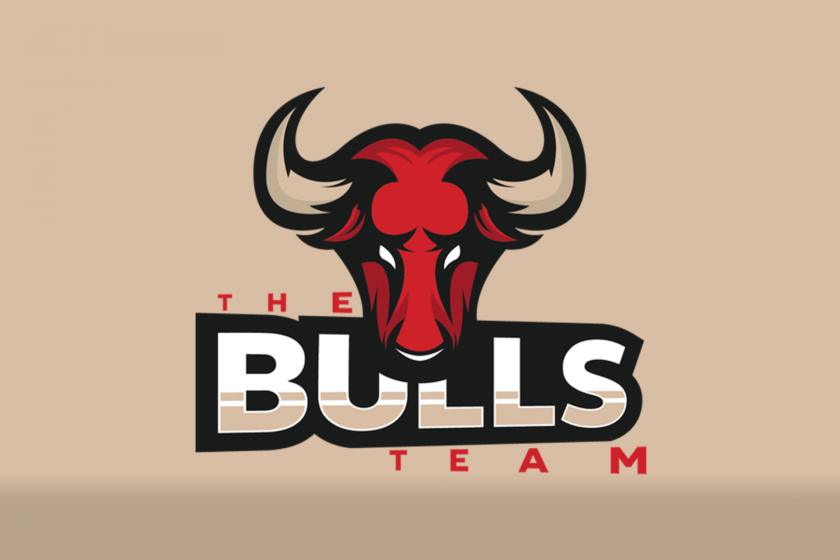 the bulls team