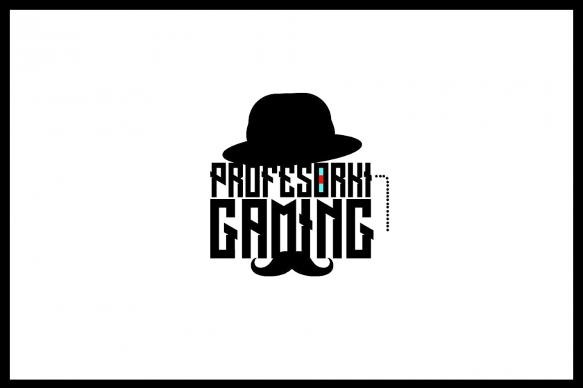profersorki gaming