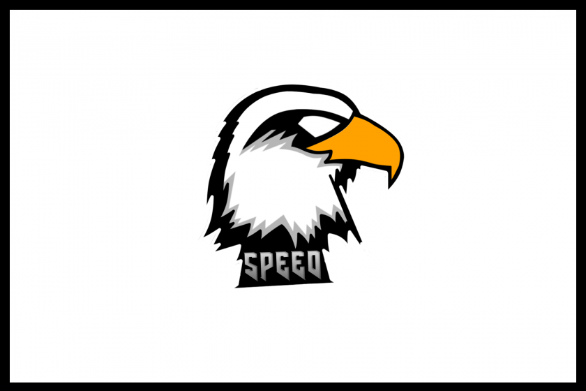 speed e-sports